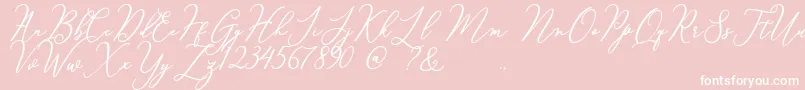 Courtney Font – White Fonts on Pink Background