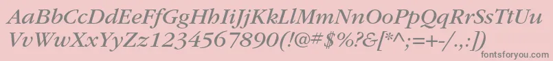 ItcgaramondstdBkita Font – Gray Fonts on Pink Background