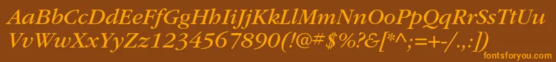 ItcgaramondstdBkita Font – Orange Fonts on Brown Background