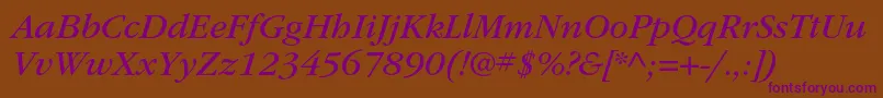 ItcgaramondstdBkita Font – Purple Fonts on Brown Background