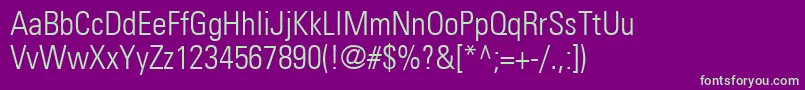 PartnercondensedlightNormal Font – Green Fonts on Purple Background