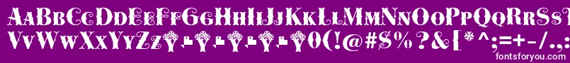 Cowboya Bifurcated Font – White Fonts on Purple Background