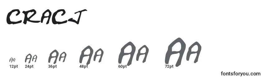 CRACJ    (124097) Font Sizes