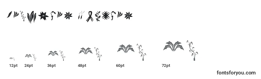 Größen der Schriftart Crafters Flowers (124108)