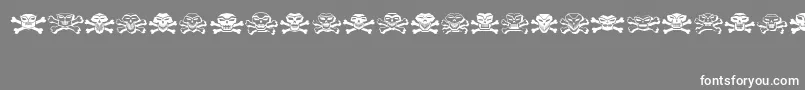 Cranium Font – White Fonts on Gray Background