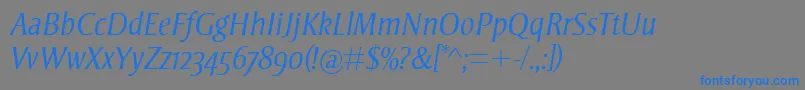 StrayhornMtOsfLightItalic Font – Blue Fonts on Gray Background