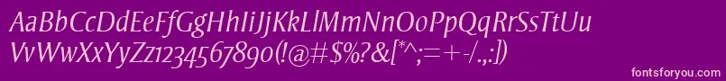 StrayhornMtOsfLightItalic Font – Pink Fonts on Purple Background