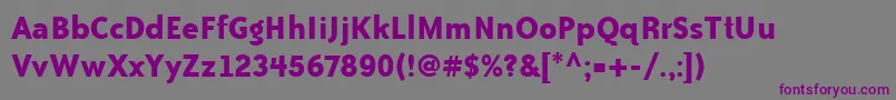 BaileySansItcTtBold Font – Purple Fonts on Gray Background