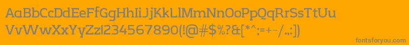 CreativZoo Serif v2 1 Font – Gray Fonts on Orange Background