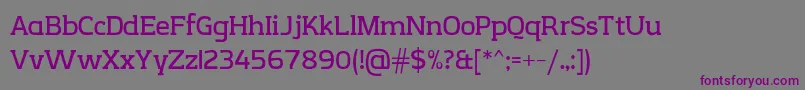 Шрифт CreativZoo Serif v2 1 – фиолетовые шрифты на сером фоне