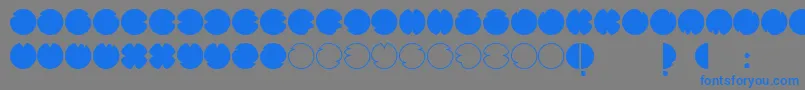 CodesRegular Font – Blue Fonts on Gray Background