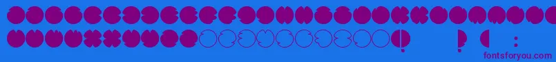 CodesRegular Font – Purple Fonts on Blue Background