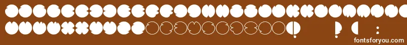 CodesRegular Font – White Fonts on Brown Background