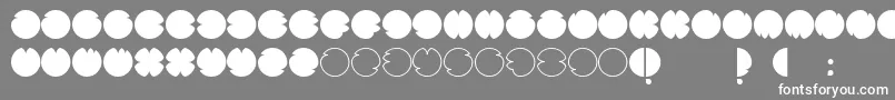 CodesRegular Font – White Fonts on Gray Background