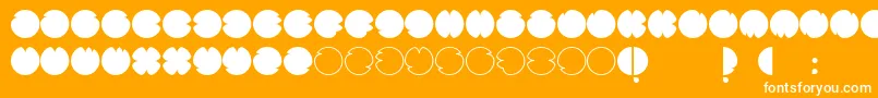 CodesRegular Font – White Fonts on Orange Background