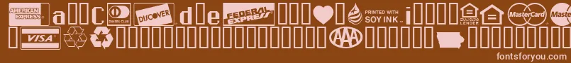 Credit Cards Font – Pink Fonts on Brown Background
