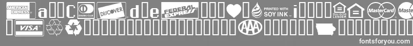 Credit Cards Font – White Fonts on Gray Background