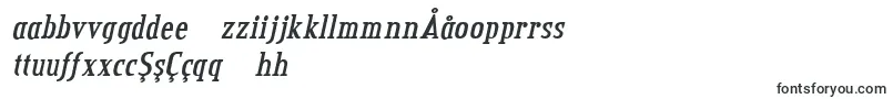 credit valley bold italic Font – Uzbek Fonts