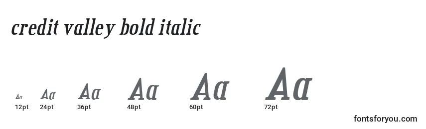Größen der Schriftart Credit valley bold italic (124177)