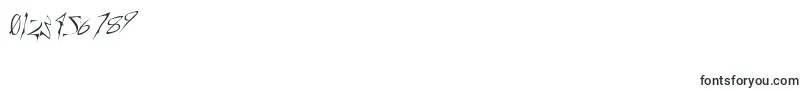 CREELO  -Schriftart – Schriften für Zahlen und Nummern