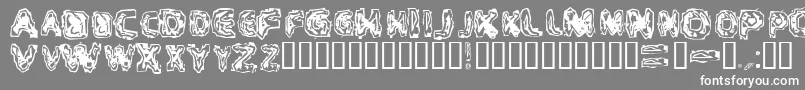 CRITM    Font – White Fonts on Gray Background