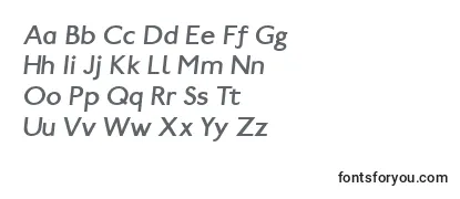PaddingtonItalic Font