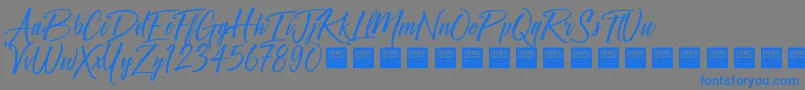 フォントCrown Heights   Demo – 灰色の背景に青い文字