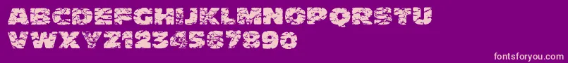 Crump Font – Pink Fonts on Purple Background