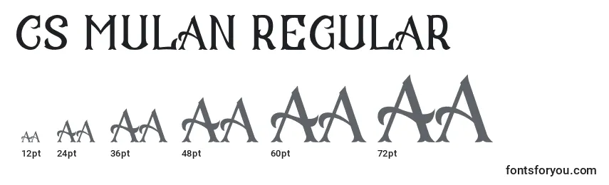 Размеры шрифта CS Mulan Regular