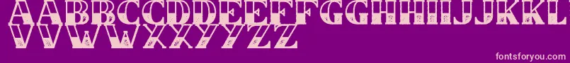 CS Nancy Halfblock Rough Font – Pink Fonts on Purple Background