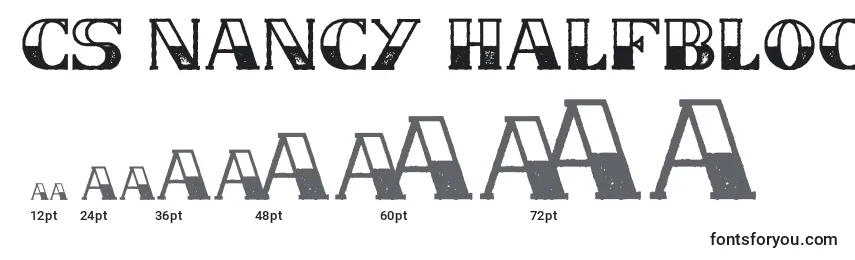 Размеры шрифта CS Nancy Halfblock Rough (124270)