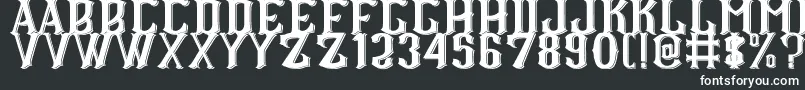 フォントCS Roger Double – 黒い背景に白い文字