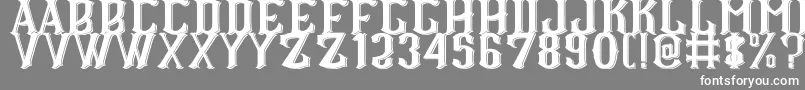 fuente CS Roger Double – Fuentes Blancas Sobre Fondo Gris