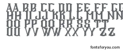 Review of the CS Roger Double Font