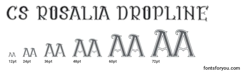 Размеры шрифта CS Rosalia Dropline