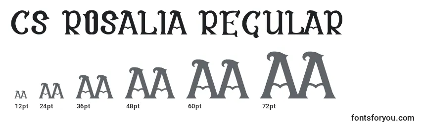 Размеры шрифта CS Rosalia Regular