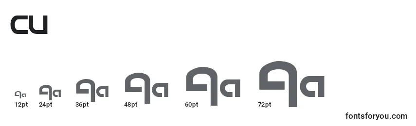 CU       (124283) Font Sizes