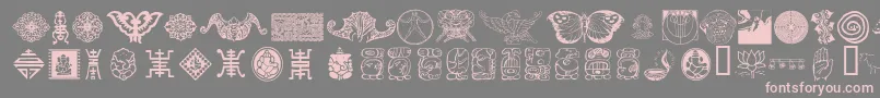CULTI    Font – Pink Fonts on Gray Background