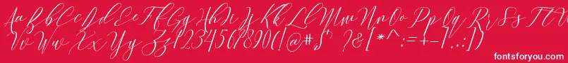 Culture Font – White Fonts on Red Background