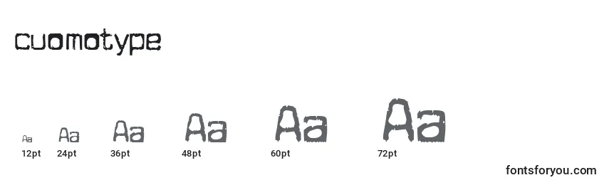 Размеры шрифта Cuomotype (124299)