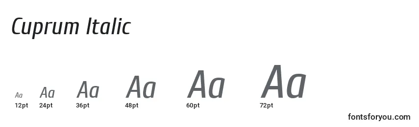 Размеры шрифта Cuprum Italic