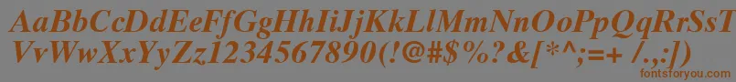 TimesTenCyrillicBoldInclined Font – Brown Fonts on Gray Background