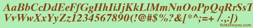 TimesTenCyrillicBoldInclined Font – Brown Fonts on Green Background