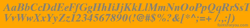 TimesTenCyrillicBoldInclined Font – Gray Fonts on Orange Background