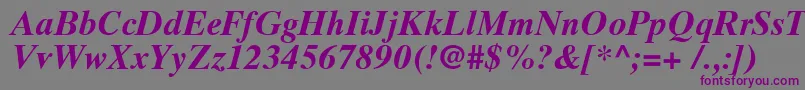 TimesTenCyrillicBoldInclined Font – Purple Fonts on Gray Background