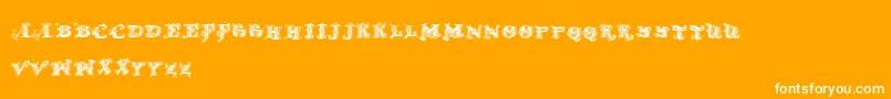 D OLD MODERN 2 Font – White Fonts on Orange Background