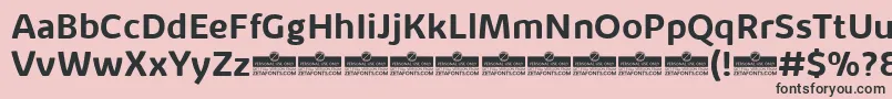 KabrioAlternateBoldTrial Font – Black Fonts on Pink Background