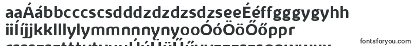 Шрифт KabrioAlternateBoldTrial – венгерские шрифты