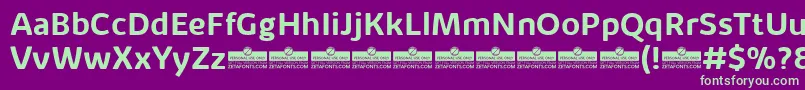 KabrioAlternateBoldTrial Font – Green Fonts on Purple Background