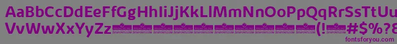 Шрифт KabrioAlternateBoldTrial – фиолетовые шрифты на сером фоне